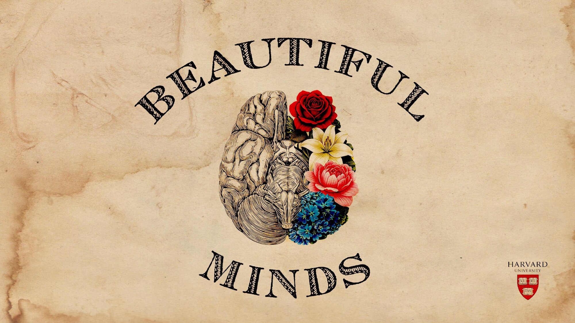 Beautiful Minds key art